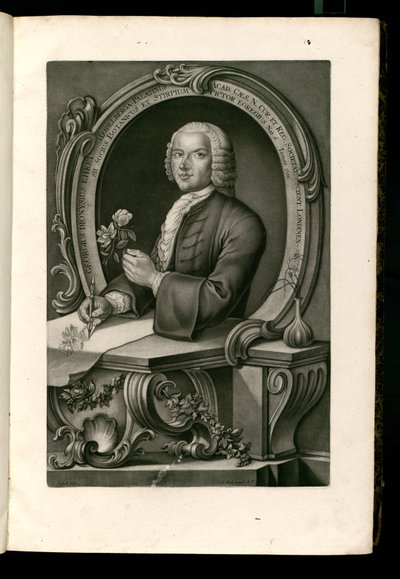 Georgius Dionysius Ehret da Johann Jakob Haid